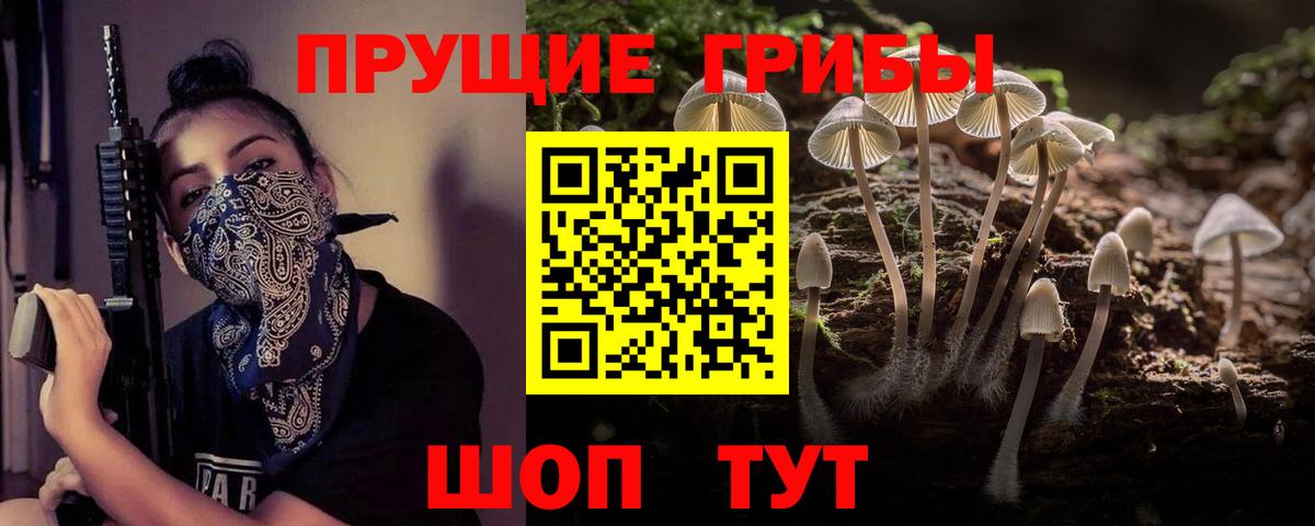 Галлюциногенные грибы GOLDEN TEACHER Хасавюрт