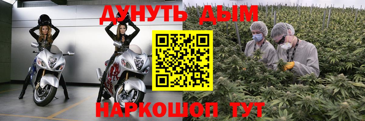 Бошки Шишки LSD WEED  Вход с VPN  Хасавюрт  Канабис Bruce Banner 
